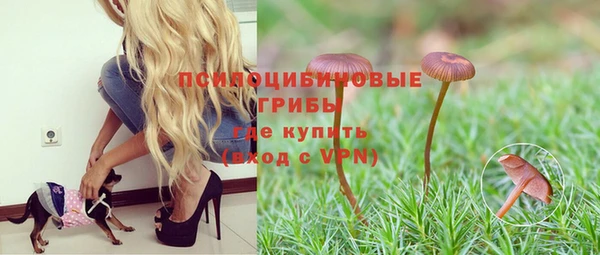 каннабис Аркадак