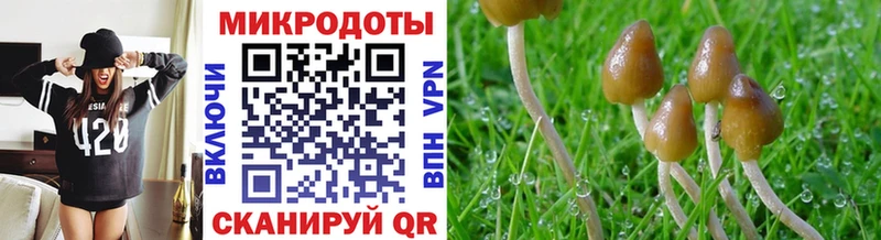 продажа наркотиков  Светлогорск  Галлюциногенные грибы Magic Shrooms 